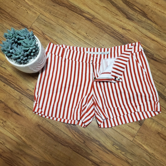 Shorts - Picture 3 of 5